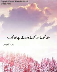 Pin By Sofie Ahmed On Urdu Novels Saying And Quotes Quotes From Novels One Line Quotes Urdu Novels