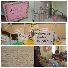 .group 6 animal cell and it's functions animal cell: Cell Model Writing Is Thinking
