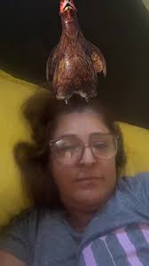 Adriana Colin (@adrianacolin8)’s videos with suara asli