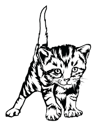 Thousands pictures for downloading and printing! Realistic Kitten Cat Coloring Pages Novocom Top