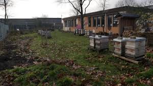 Zu den bekanntesten milbenarten gehören neben der hausstaubmilbe auch die grasmilbe, die. Milben Geschichten Teil 1 Immelieb De