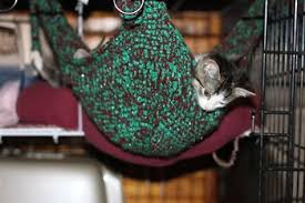 I bought 1 1/2 yds of pink check flannel for my kitty who loves to live under my bed. Crochet Cat Hammock Diy Cat Hammock Cat Hammock Crochet Cat Hammock Pattern