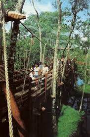 We did not find results for: Discovery Island