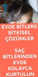 Bitlere Bitkisel Cozumler Camasir Deterjani Dogal Guzellik Ipuclari Saglik