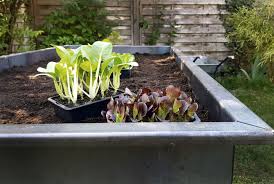 Mein schones land tv der garten im juli ard mediathek garten sendungen im tv und web scharnweber garten und mw9pcgrev9seem natur im garten das buch zur tv serie 9783704023438 amazon com gartln mit starkl servus tv mein schones land tv ein stuhl aus birkenholz fur den garten garten sendungen im tv und web scharnweber garten und. Https Xn Grneliebe R9a De Kann Man Im Juli Pflanzen Und Saeen
