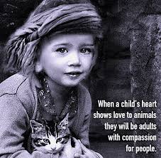 Calico cat's beauty and owner's affection