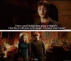 Hahaha I Love How They Look Like They Re Seriously Doubting Harry S Mental Abilities At This Moment Harry Potter Universal Harry Potter Harry Potter Obsession