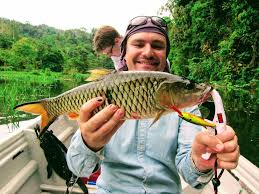 Sungai Kenarong Royal Belum 28 Mar 2017 Fishyology Fishyology Fish Fresh Water