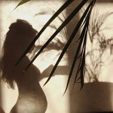 Bronzed by the sea (@bronzedbythesea) • Instagram photos and videos