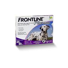 Pin On Best Flea Medicine For Dogs