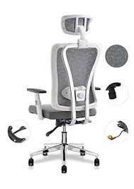 Cedric White Ergonomic Adjustable Office Chair With Adjustable Lumbar Support High Back W Office Chair Design Adjustable Office Chair Ergonomic Chair