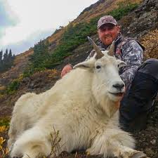 British Columbia World Class Mountain Goat Hunts | Huntin' Fool