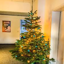 Zum ersten des folgemonats gezahlt. Wann Werden Wo Die Weihnachtsbaume Abgeholt Ne Ws 89 4