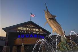 Bass pro shop springfield mo aquarium. Johnny Morris Wonders Of Wildlife National Museum Aquarium Springfield Mo Tripster