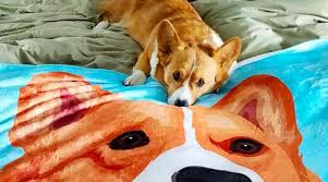 If you have several pet photos, please create a collage. Best Photo Gifts Askmen
