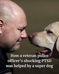 Jack Littlejohn never thought he would get to celebrate a grand final win  with his son. Link in bio. #Dubbo #DailyLiberal #PMP24 #bushfooty