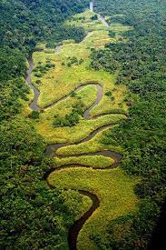 Congo river facts denote the river, also called zaire river, is named as such because it cuts through africa's congo rainforest, originating in the mountains and highlands in an area marked by a tectonic. Meandering River In The Congo Congo River Africa Wonders Of The World