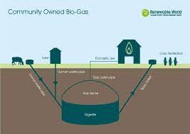 Biogas Systems And Technology Renewable World