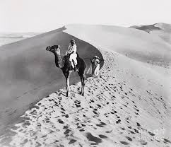 Enjoy fast delivery, best quality and cheap price. Man Riding A Camel In The Desert By Bettmann