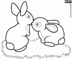 Stall Hase Malvorlage Coloring And Malvorlagan