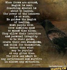 Symbolism Birds And Their Meanings Crows Magick Morrigan Witchcraft Crow Spirit Animal Crow Crow Totem