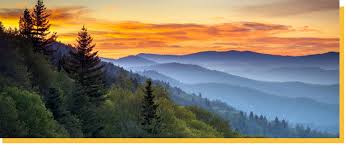 Maybe you would like to learn more about one of these? Tennessee Car Insurance Laws Coverage Rates Smartfinancial