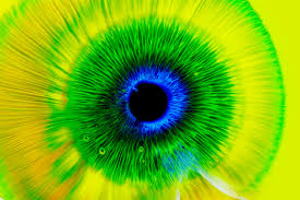 Image result for artistic divergence eyeballs