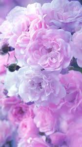 If you look at the color wheel, its complementary hue is yellow. Elaine On Twitter In 2021 Flower Aesthetic Flower Phone Wallpaper Aesthetic Wallpaper Flower