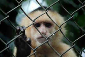 8 things Justin Bieber needs to say "Sorry" for ahead of his Vancouver show  (CONCERT PREVIEW)