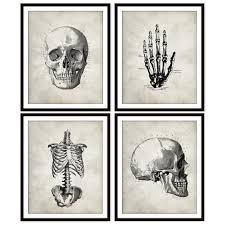 Feel free to explore, study and enjoy paintings with paintingvalley.com. Vintage Anatomy Skull Rib Cage Hand Skeletal Art By Picturality 37 00 Anatomy Art Human Bones Art Art