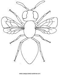 Facebook is showing information to help you better understand the purpose of a page. The Creepy Crawlies Show Colouring Pages Insect Coloring Pages Bug Coloring Pages Coloring Pages