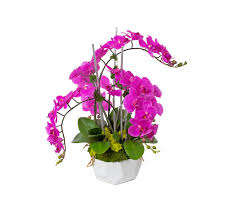 Santa barbara, ca florist and flower shop. Silk Flowers Plants Santa Barbara Design Center Santa Barbara Ca