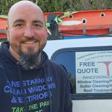 panestakinglyclean.com