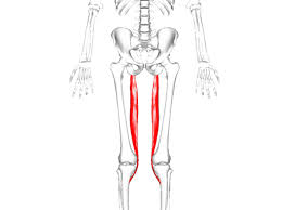 4 antworten baekhyunisbae 12.08.2020, 15:15. Adduktoren Hufte Und Unteren Rucken Dehnen Libelle Yogaubung Beinschmerzen Dehnen Oberschenkel Innenseite