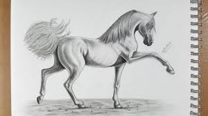 تعلم رسم حصان بالرصاص Draw Horse Horse Drawings Animal Paintings Animal Drawings