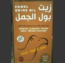 زيت بول الجمل للشعر كريمات وأعشاب في أم القيوين الإمارات وسيطك