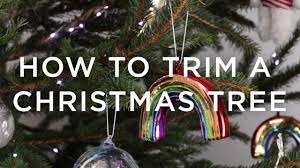 When to prune the top types of magnolias. How To Trim A Christmas Tree Youtube