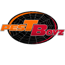 We have had many recommendations through word of mouth. Exterminator Spring Hill Fl