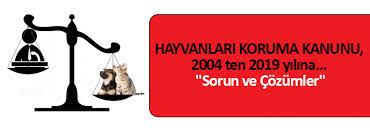 Hayvanlara Empati Google Arama 2020 Hayvan