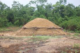 Fugitive Businessman Abandons Logs in Cape Mount