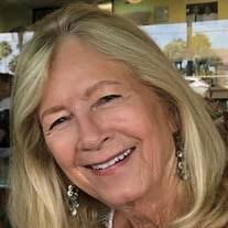 Carol Louise Drew Obituary (2023)