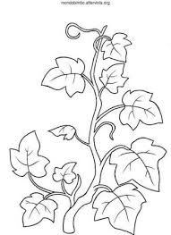 Download and print free grape vine coloring pages to keep little hands occupied at home; 25 Vine Ideas Vines Vine And Branches True Vine