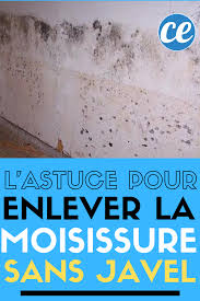 L Astuce Geniale Pour Enlever La Moisissure Des Murs Sans Javel Enlever Les Moisissures Taches De Moisissure Moisissure
