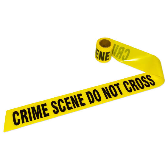 The collection of forensic and audio evidence fundamentally reshaped the trial., AI generated