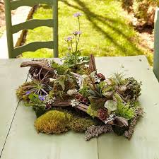 We did not find results for: 51 Most Amazing Air Plant Display Ideas Balcony Garden Web