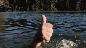 Maybe you would like to learn more about one of these? But It S Ok I M Ok Terminator Funny Words Cool Gifs