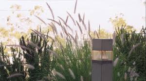 Need to translate avec vous ce soir from french and use correctly in a sentence? Toc Toc Toc Qui Est La C Est Vixen Asseyez Vous Detendez Vous Ce Soir A Minuit Vixen Debarque Enfin Abonnez Vous Aujourd Hui Partout Au Vanessa Tv Adult Tv Chaine De