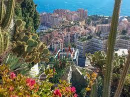 All you need to know about growing cactus plants, in our detailed grow guide. The Exotic Garden And Cave In Monaco How To Visit