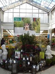 Rosenheim y su desierto te esperan. Bellandris Garten Center Picture Of Bellandris Garten Center Rosenheim Tripadvisor