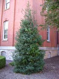 Maybe you would like to learn more about one of these? Stadler Garden Centers